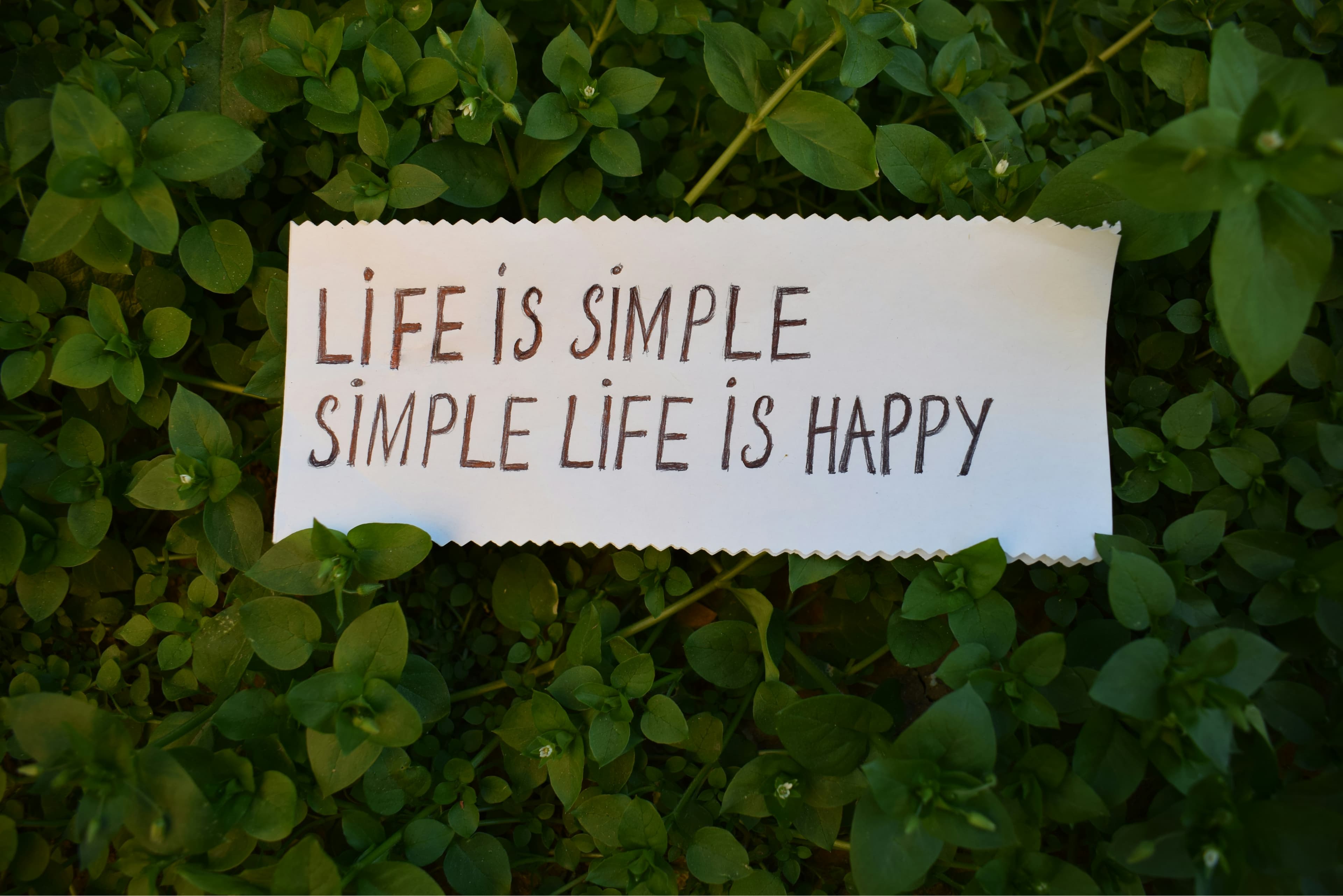 心に余白をつくるミニマルライフのすすめ