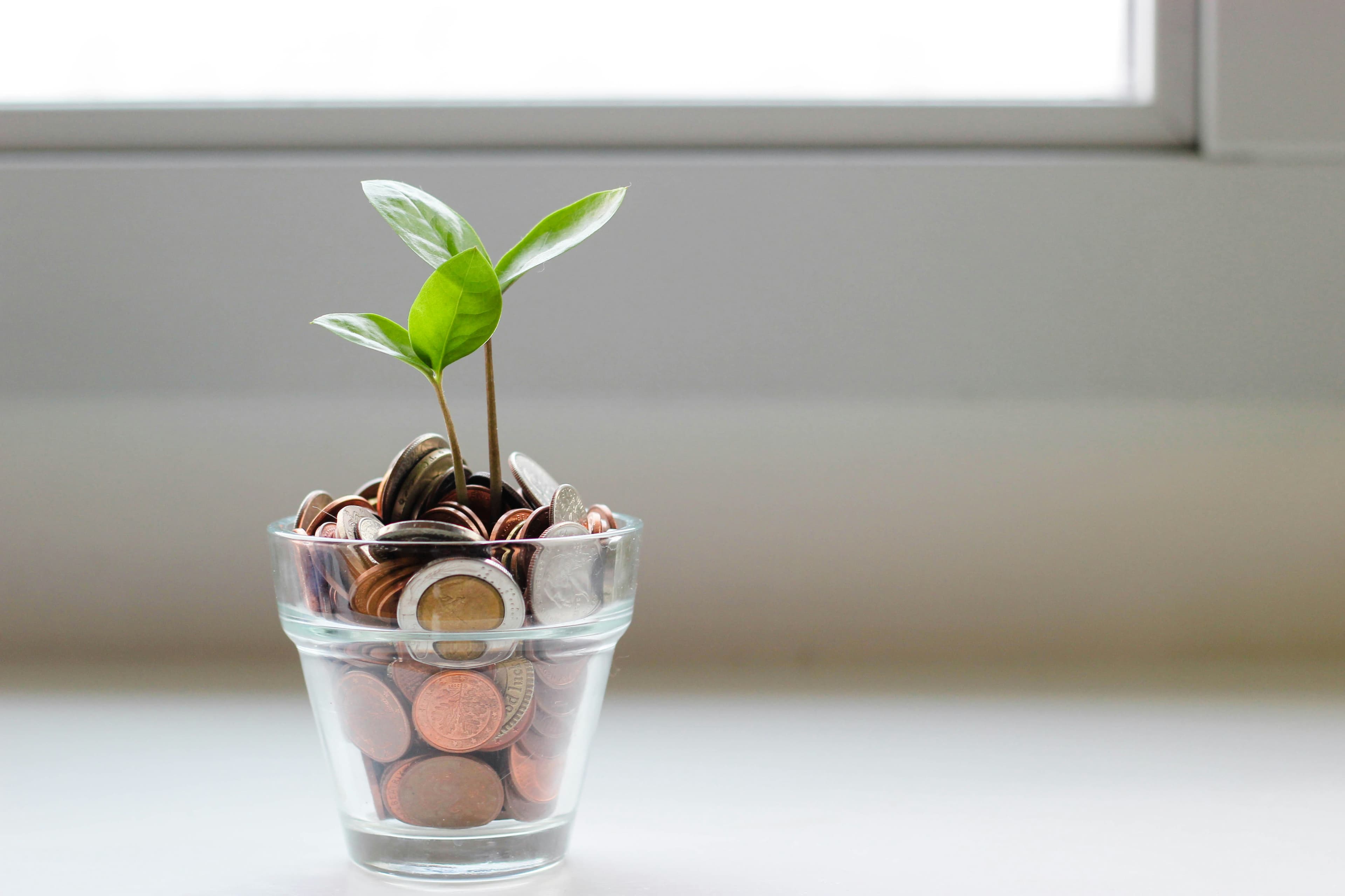 Stop Wasting Time on Side Hustles That Don’t Pay