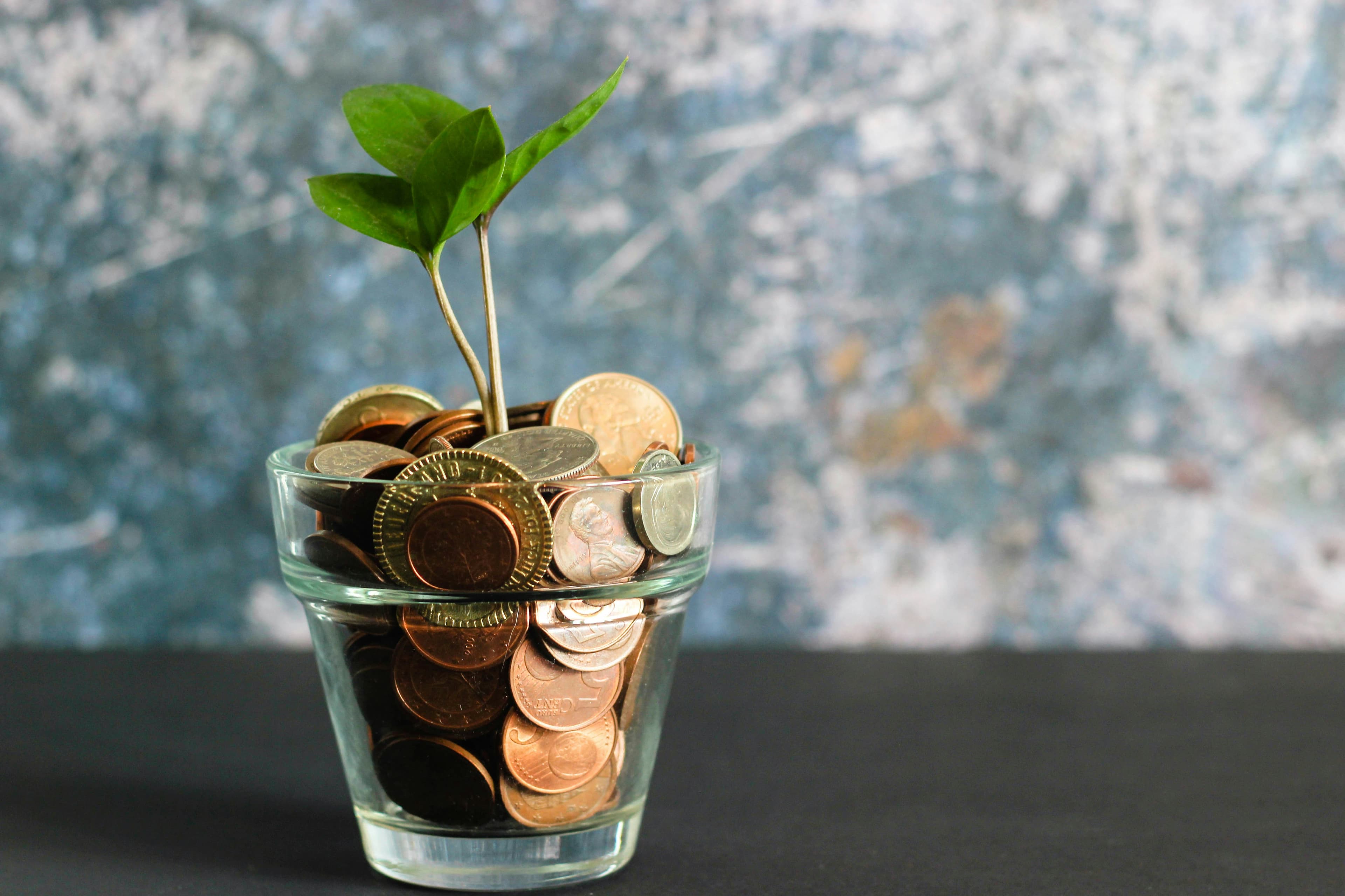The Psychology of Spending: Why We Buy What We Don’t Need